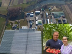 Zaczynali od tuneli foliowych. Dziś wysyłają nawet 30 tirów pomidorów tygodniowo