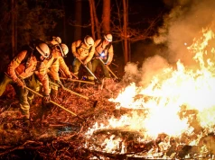 Polscy strażacy pojadą na miesiąc do Hiszpanii