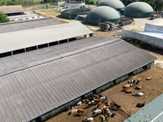 Ukraina idzie jak taran w biometan. Cel na 2030 robi wrażenie, a w tle gigantyczne pieniądze z EBI