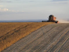 Globalny gigant buduje przetwórnię soi i słonecznika w Argentynie