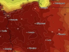 Gorąca prognoza pogody na lato. Dlaczego polskie miasta nie biją na alarm?