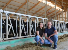 Nie kupili ani jednej krowy. Dziś doją 280 sztuk i sprzedają mleko do Danone