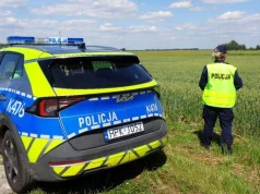 Zniknął z podwórka, rodzina drżała o jego życie. Policjanci znaleźli go nieprzytomnego w polu pszenicy!