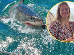 Horror na plaży w Sydney, rekin zaatakował kobietę. Nowe informacje o stanie 35-latki