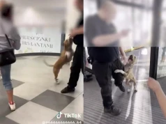 Krzyczała „Bierz go" i szczuła psem w Galerii Młociny. Pies nie był jej, a kobieta trafiła do szpitala