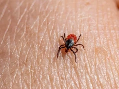 Rekordowa liczba przypadków boreliozy, a lipiec ma być jeszcze gorszy
