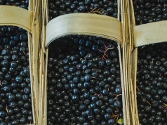 Myjesz tak jagody? Ten błąd sprawia, że mogą ci zaszkodzić