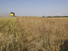 Sprzedaż ziemi rolnej pod lupą. Ten błąd może unieważnić całą transakcję