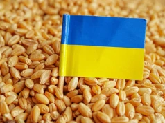 Wiceminister Nowak: Polska nie zniesie zakazu importu ukraińskich produktów rolnych