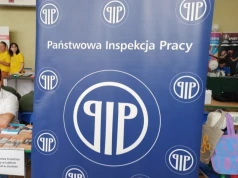 Reforma PIP i wirtualny szturm januszeksów