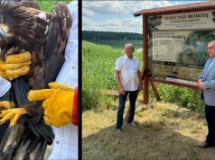 Fundacja Krzysztofa Strynkowskiego wzięła w zarząd Stawy nad Młokitą