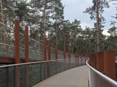 10 m nad ziemią. Ta ścieżka zachwyca całą Europę. "Można sięgnąć koron drzew"