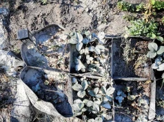 Przyblokowy ogródek zamiast łączyć, podzielił sąsiadów. Sprawa trafi na policję
