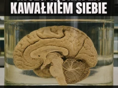 Mózg zgłasza brak mózgu