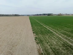 Zakup ziemi rolnej. Zanim zgodzisz się na cenę, sprawdź transakcje z okolicy