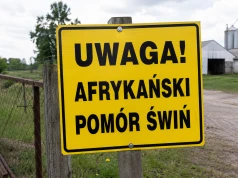 Strefa III ASF rozszerzona. Nowe ograniczenia obejmą kolejne gminy