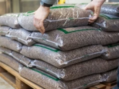 Poszła fama, że Lasy Państwowe będą produkować pellet. Oto odpowiedź z centrali