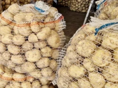 Egipt na czele importu ziemniaków na Ukrainę. Polska była liderem rok wcześniej