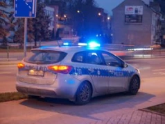 Kamieniec Ząbkowicki: Wypadek na Dolnym Śląsku. Pijana jak messerschmitt 54-latka wjechała prosto w płot. Wiozła dwoje dzieci