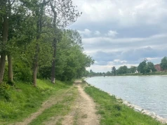 Wycinka nad Nysą Kłodzką