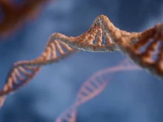 W ludzkim genomie znajdują się zaskakujące struktury DNA. To coś więcej niż tylko podwójna helisa