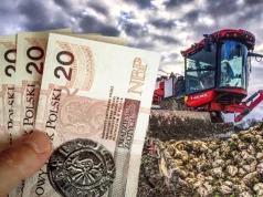 Buraki przestają się opłacać. Nawałnice tylko pogłębiły kryzys plantatorów