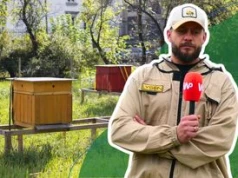 Kupujesz tylko wiejski miód? Pszczelarz mówi prawdę o ulach w miastach