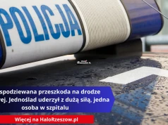 Niespodziewana przeszkoda na drodze krajowej. Jednoślad uderzył z dużą siłą, jedna osoba w szpitalu
