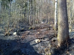 Podpalacz w akcji – apel strażaków