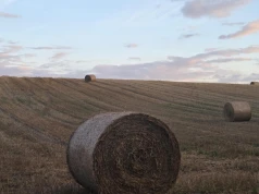 Te błędy to ryzyko pożaru stogu słomy. Na to koniecznie zwróć uwagę