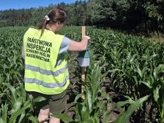 WIORiN prowadzi monitoring upraw. Co sprawdza?