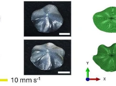 Druk 3D zmiennokształtnych elastomerów ciekłokrystalicznych