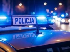 Tragiczny wypadek w lesie. Syn odnalazł ciało ojca