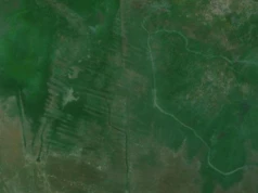 Camellones – historyczne struktury na 500 000 hektarów mogły powstać bez władzy centralnej