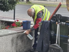 Społecznicy chcą wysprzątać Szczecin