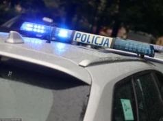 Strzały w Żorach. Nocna akcja policji