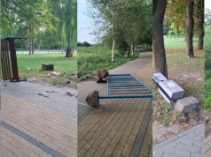 Kolejni sprawcy demolki w parku i nad Uherką w rękach policji