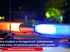 Groźny incydent w Strzegocicach. Zablokowana kluczowa trasa, utrudnienia potrwają kilka godzin