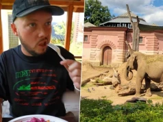 ZOO we Wrocławiu reaguje po filmie Książula. Jest wezwanie do pilnego wyjaśnienia