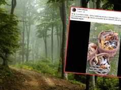 Wybrała się na grzybobranie na początku września i pokazała swoje zbiory. "Dzieje się"