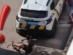 Położył się na jezdni. Policja po nim przejechała! (WIDEO)