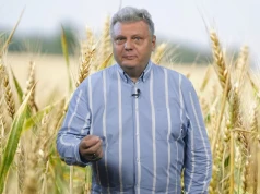 Wyższe ceny są bardziej podatne na zachwianie – Rynkowy Serwis Spod Lady – 4.09.26 r.
