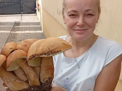 Niezwykły prawdziwek znaleziony w okolicach Brus. Miał aż osiem kapeluszy