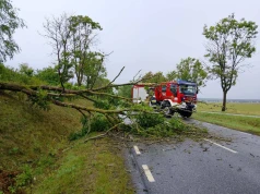 Setki interwencji po wichurach. Najgorzej było w powiecie stargardzkim