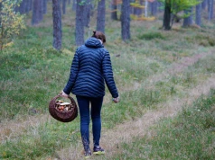Grzybiarze na cenzurowanym. Jeden krok za daleko może skończyć się mandatem 500 zł