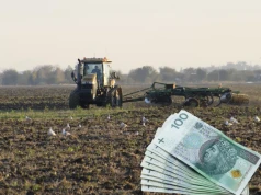 Zaliczki dopłat ruszają 8 września. Prawie 500 tys. rolników może dostać pieniądze w pierwszych dniach