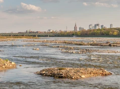 Kryzys klimatyczny już kosztuje nas miliardy, a może być tylko gorzej. Tak można temu zaradzić