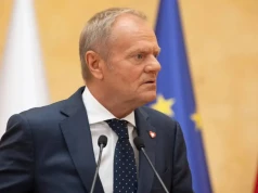 "Ten znów o AfD w Niemczech". Tusk chciał uderzyć w polską prawicę. Dostał mocne odpowiedzi