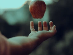 Zaobserwowali grawitację Einsteina w świecie kwantów