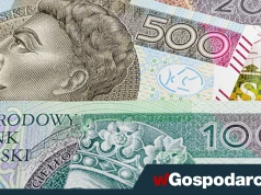 50 tys. zł dotacji dla młodych osób